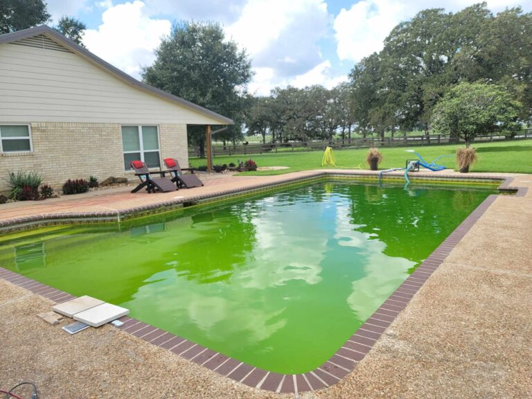Pool project photo